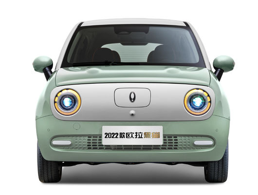 301-405KM Silnik Great Wall EV Akumulator Great Wall ORA Black Cat Ev LFP