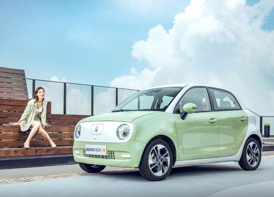 301-405KM Silnik Great Wall EV Akumulator Great Wall ORA Black Cat Ev LFP