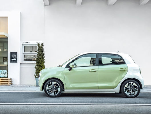 301-405KM Silnik Great Wall EV Akumulator Great Wall ORA Black Cat Ev LFP