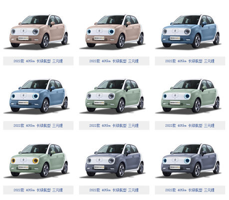 301-405KM Silnik Great Wall EV Akumulator Great Wall ORA Black Cat Ev LFP